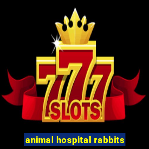 animal hospital rabbits